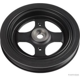 Acquista Puleggia cinghia albero a gomiti da HERTH+BUSS JAKOPARTS J1092029 a buon mercato per soli 25,97 €