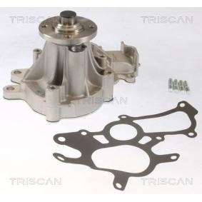 Achetez des Pompe à eau TRISCAN 8600 13052 à prix pour 89,43 €