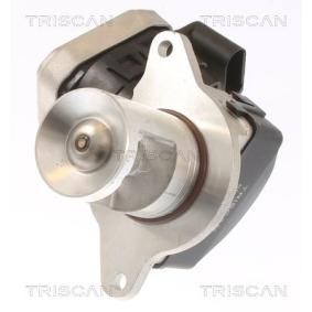 Acquista Valvola EGR da TRISCAN 8813 23021 a buon mercato per soli 380,28 €