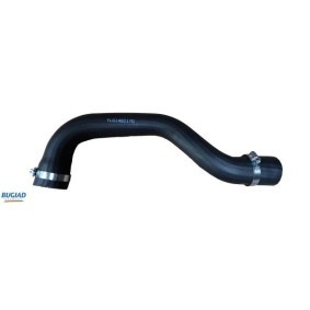 Compre Tubo flexível do ar de sobrealimentação da BUGIAD 82170 a um preço baixo por 35,28 €