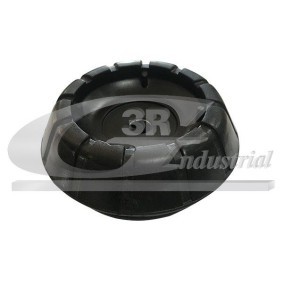 Acquista Supporto ammortizzatore da 3RG 45801 a buon mercato per soli 12,37 €