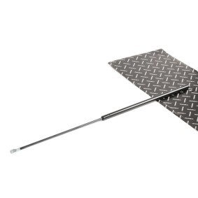 Osta Kaasujousi, konepelti RIDEX:llä 514G0165 edullisesti hintaan 24,85 €