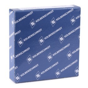 Acquista Kit fasce elastiche da KOLBENSCHMIDT 800001110000 a buon mercato per soli 19,71 €