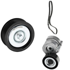 Comprar Juego de correas trapeciales poli V de RIDEX 542R0679 a bajo precio de 67,38 €