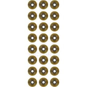 Comprar Juego de juntas, vástago de válvula de REINZ 12-18722-01 a bajo precio de 138,45 €