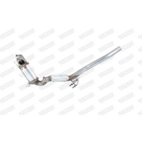 Compre Filtro de partículas da WALKER 73356 a um preço baixo por 1056,83 €