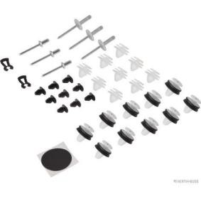 Compre Conjunto de grampos, revestimento do habitáculo da HERTH+BUSS ELPARTS 50269131 a um preço baixo por 32,92 €