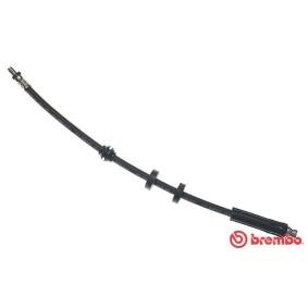 Comprar Latiguillo de freno de BREMBO T 24 049 a bajo precio de 13,03 €