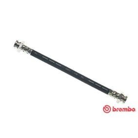 Comprar Latiguillo de freno de BREMBO T 54 003 a bajo precio de 10,38 €