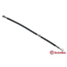 Comprar Latiguillo de freno de BREMBO T 59 029 a bajo precio de 16,38 €