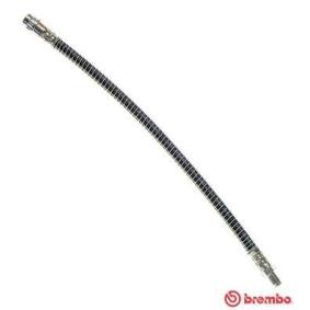 Comprar Latiguillo de freno de BREMBO T 61 019 a bajo precio de 12,02 €