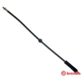 Comprar Latiguillo de freno de BREMBO T 61 021 a bajo precio de 11,95 €