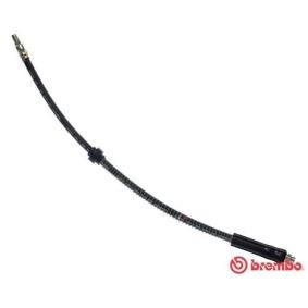 Comprar Latiguillo de freno de BREMBO T 61 084 a bajo precio de 15,22 €