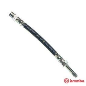 Comprar Latiguillo de freno de BREMBO T 85 033 a bajo precio de 8,98 €