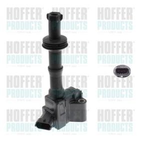 Acquista Bobina d'accensione da HOFFER 8010880 a buon mercato per soli 94,91 €