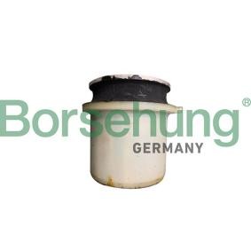 Achskörperlager B10030