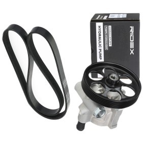 Osta Ohjaustehostimen pumppu RIDEX:llä 12H0321 edullisesti hintaan 124,94 €