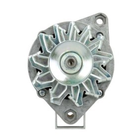 Lichtmaschine von BV PSH 505.015.065.312