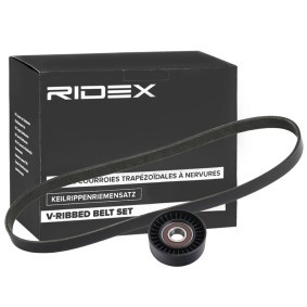 Achetez des Jeu de courroies trapézoïdales à nervures RIDEX 542R0768 à prix pour 20,01 €