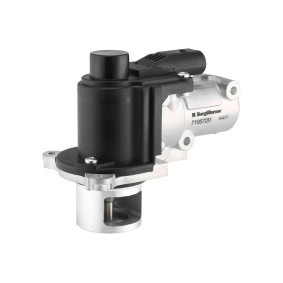 Acquista Valvola EGR da WAHLER 7234D/1 a buon mercato per soli 72,43 €