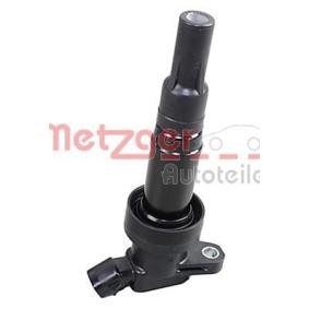 Achetez des Bobine d'allumage METZGER 0880480 à prix pour 60,89 €