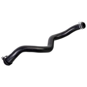 Acquista Flessibile radiatore da FEBI BILSTEIN 175571 a buon mercato per soli 32,77 €
