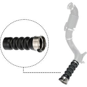 Ladeluftschlauch für MINI von RAPRO