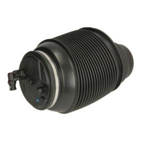 Luftfeder, Fahrwerk MZT002MT