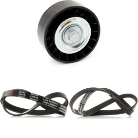 Achetez des Jeu de courroies trapézoïdales à nervures RIDEX 542R0803 à prix pour 34,57 €