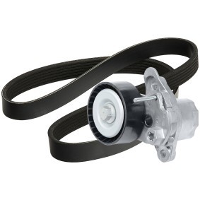 Achetez des Jeu de courroies trapézoïdales à nervures RIDEX 542R0809 à prix pour 50,13 €