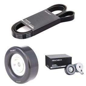 Acquista Kit Cinghie Poly-V da RIDEX 542R0901 a buon mercato per soli 83,54 €