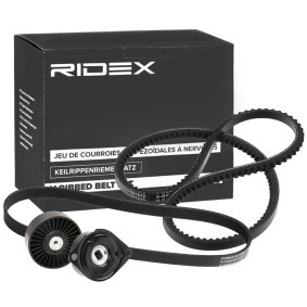 Acquista Kit Cinghie Poly-V da RIDEX 542R0981 a buon mercato per soli 48,16 €