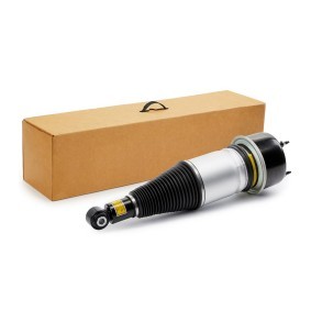 Osta Ilmajousijalka RIDEX:llä 4118A0110 edullisesti hintaan 737,78 €