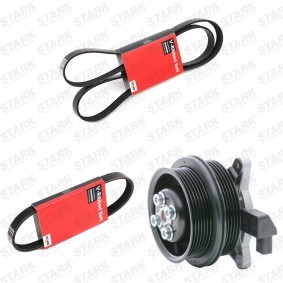Achetez des Pompe à eau+Jeu de courroie trapézoïdale à nervures STARK SKPRB-51660085 à prix pour 273,49 €