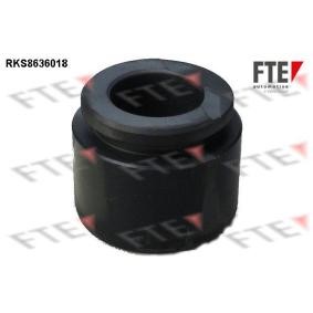 Comprar Émbolo, pinza del freno de FTE 9313057 a bajo precio de 14,33 €