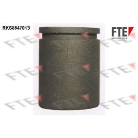 Comprar Émbolo, pinza del freno de FTE 9313076 a bajo precio de 24,70 €