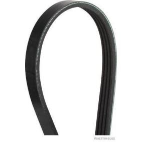 Acquista Cinghia servizi da HERTH+BUSS JAKOPARTS J1041210 a buon mercato per soli 10,05 €