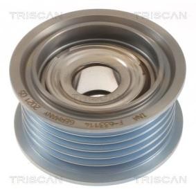 Compre Polia de desvio / de guia, correia trapezoidal estriada da TRISCAN 8641 102047 a um preço baixo por 65,75 €