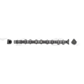 Comprar Árbol de levas de AE CAM1020 a bajo precio de 109,39 €