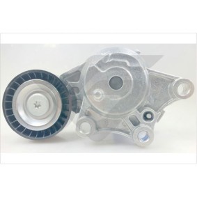 Compre Rolo tensor, correia trapezoidal estriada da HUTCHINSON T0704 a um preço baixo por 91,30 €