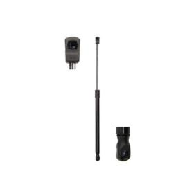 Heckklappendämpfer MGS0059 von Magnum Technology günstig für 15,28 € online kaufen