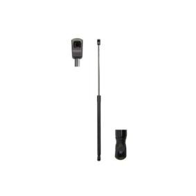 Heckklappendämpfer MGS2019 von Magnum Technology günstig für 17,26 € online kaufen