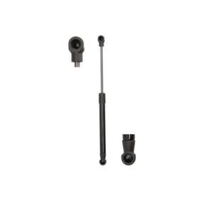 Heckklappendämpfer für SMART von Magnum Technology