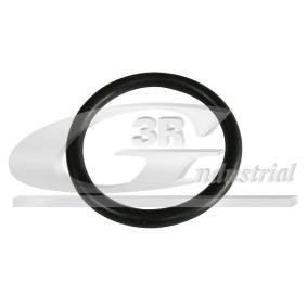 Dichtung, Thermostat 80081