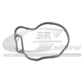 Acquista Guarnizione, Pompa depressione da 3RG 82688 a buon mercato per soli 3,98 €