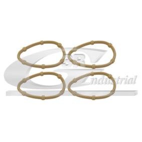 Acquista Kit guarnizioni, Collettore aspirazione da 3RG 83630 a buon mercato per soli 11,89 €