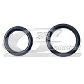 Acquista Guarnizione, Collettore aspirazione da 3RG 86253 a buon mercato per soli 2,54 €