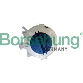 Compre Vaso de expansión de Borsehung online para Octavia I Furgón / Familiar (1U5) a precios moderados