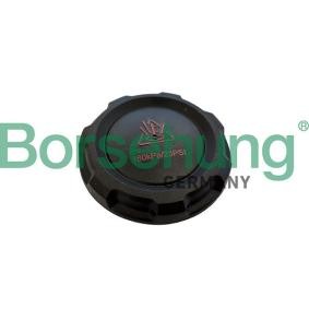Acquista Tappo, serbatoio refrigerante da Borsehung B12203 a buon mercato per soli 9,52 €