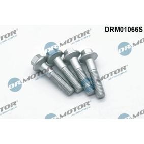 Achetez des Vis, support pour contrôleur d'injecteurs DR.MOTOR AUTOMOTIVE DRM01066S à prix pour 11,90 €